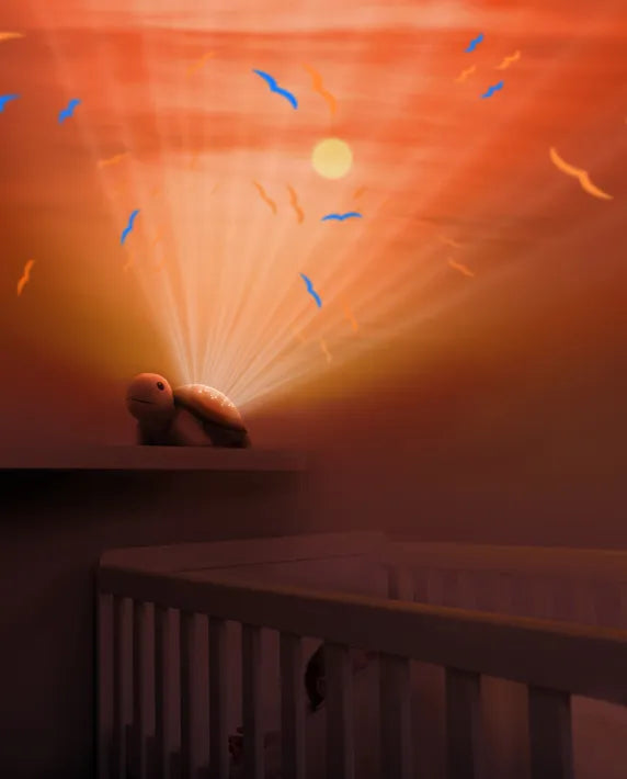 Bedtime Projector - Tim The Turtle With Sunset Projections