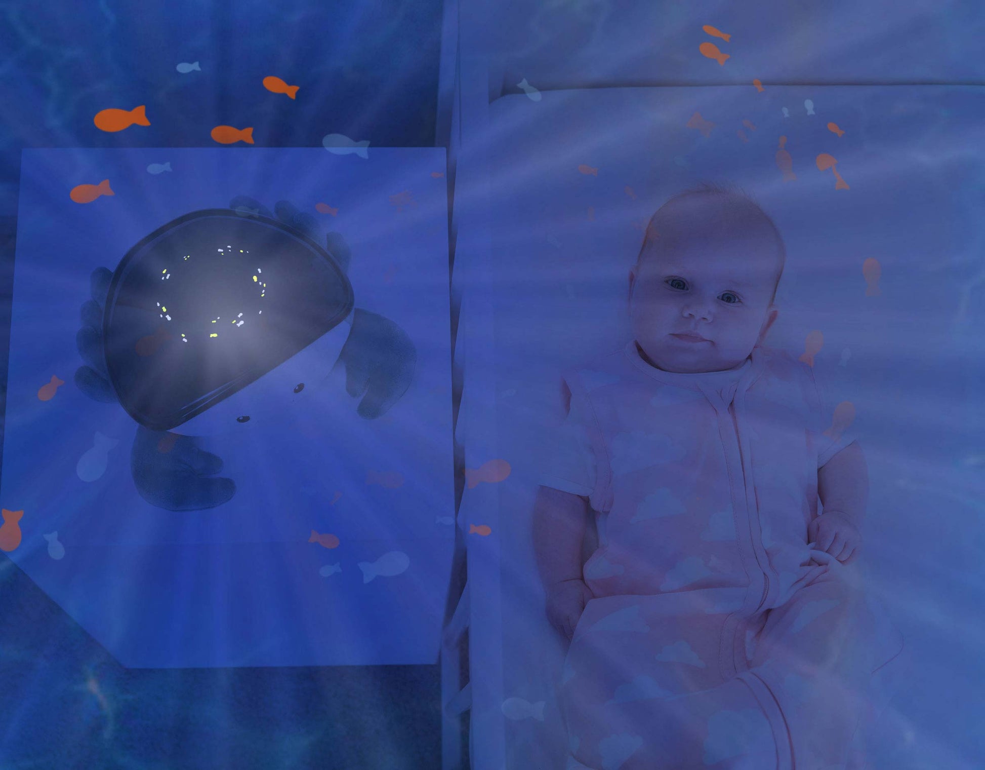 ZAZU Bedtime Projector - Cody The Crab With Ocean Projections