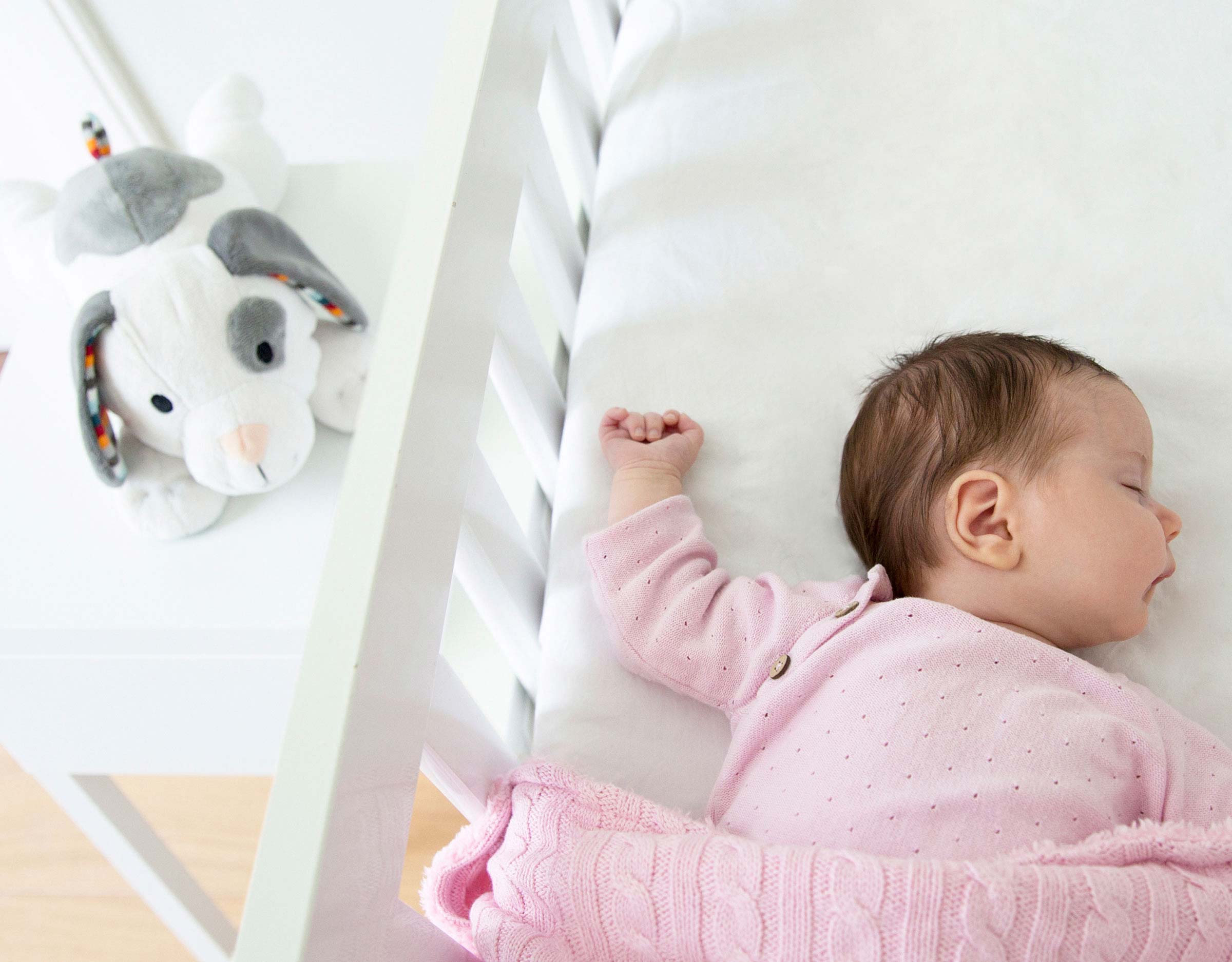 ZAZU White Noise Machine - Dex The Dog