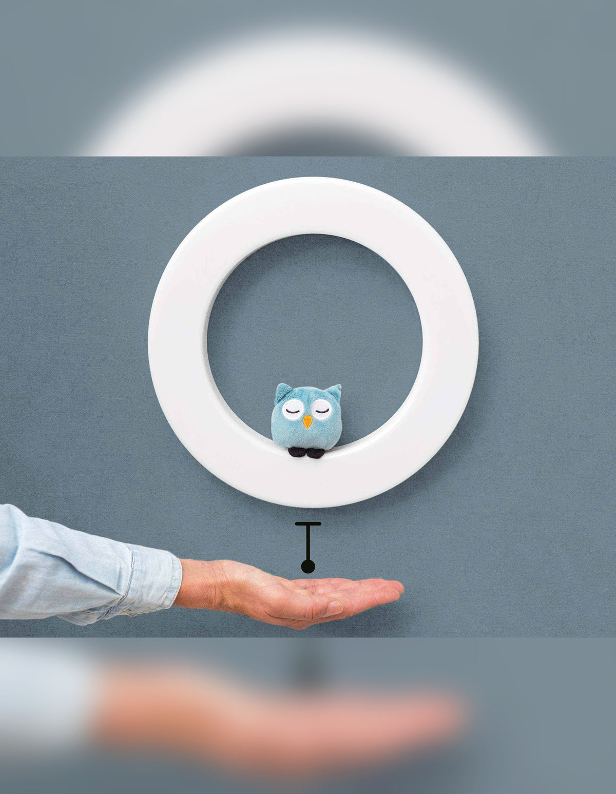 Nightlight - Wall Light With 3 Soft Toys