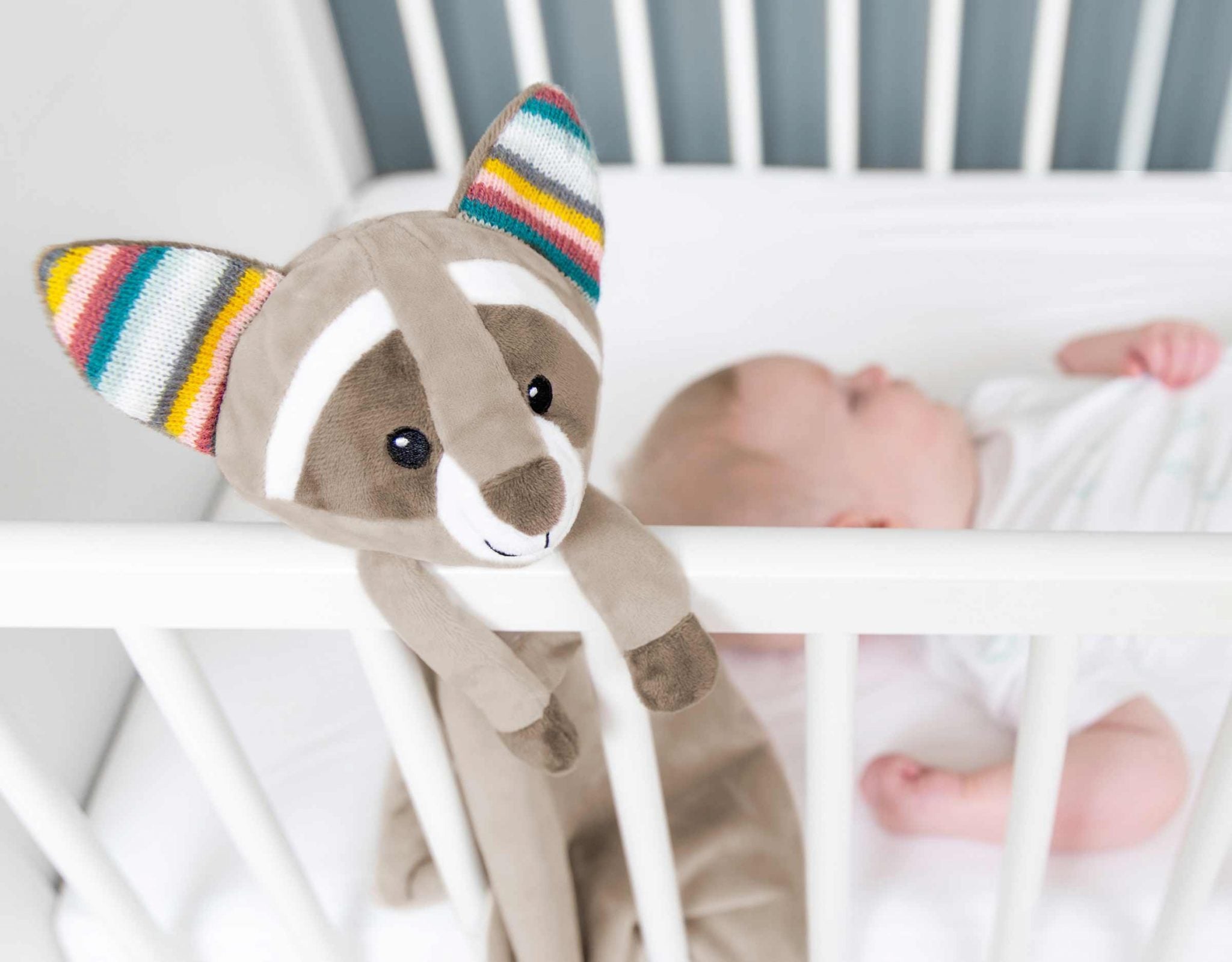 ZAZU White Noise Machine - Robin the Racoon