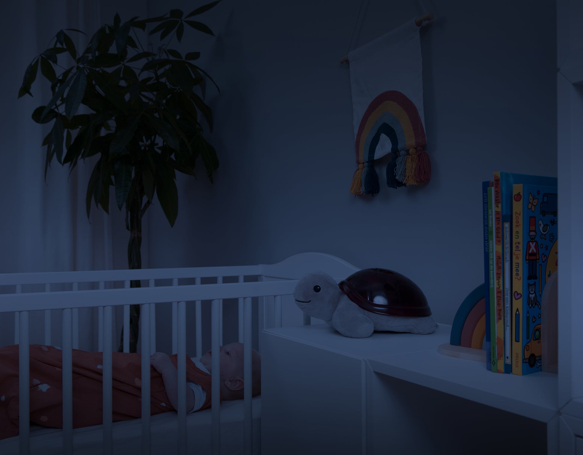 ZAZU Bedtime Projector - Tim The Turtle With Sunset Projections