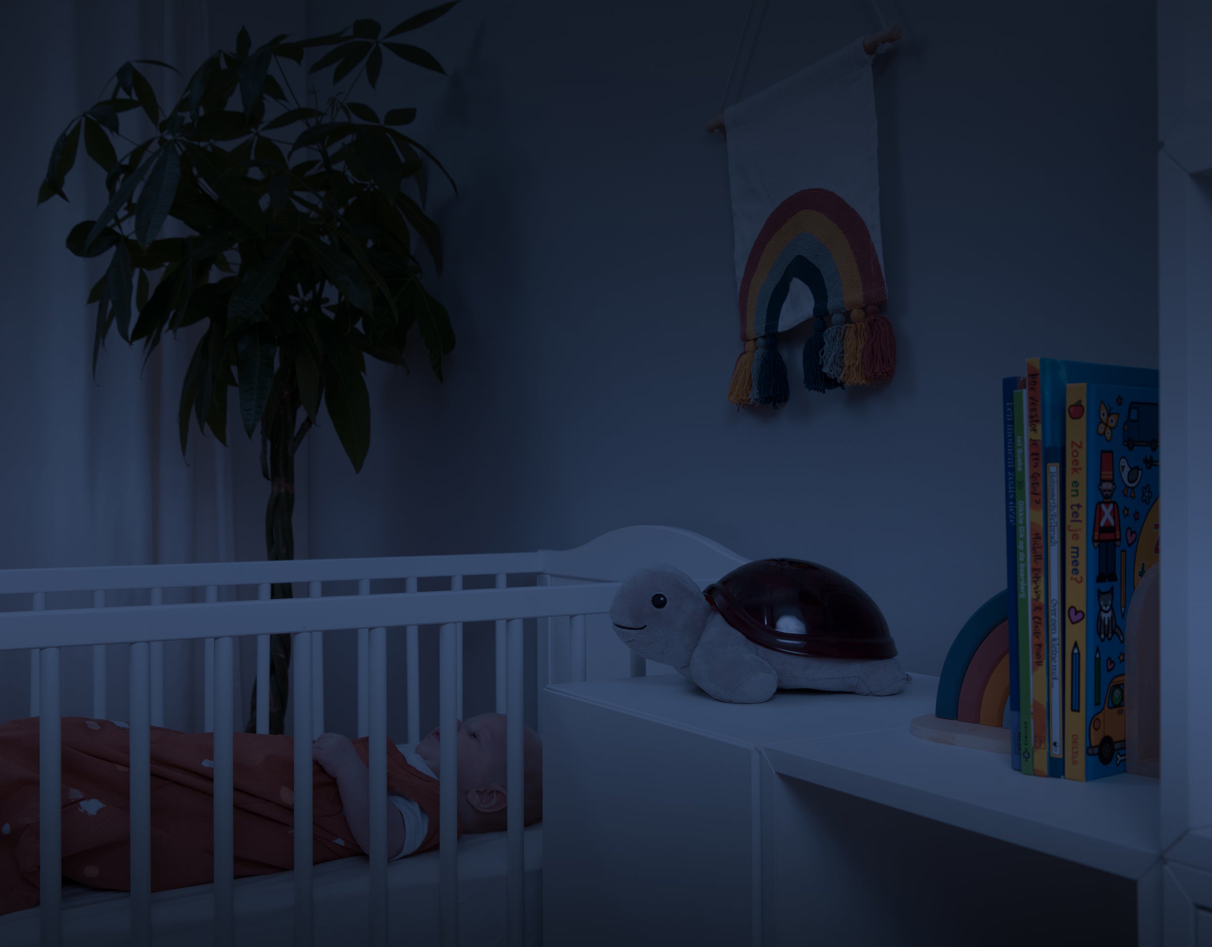 ZAZU Bedtime Projector - Tim The Turtle With Sunset Projections