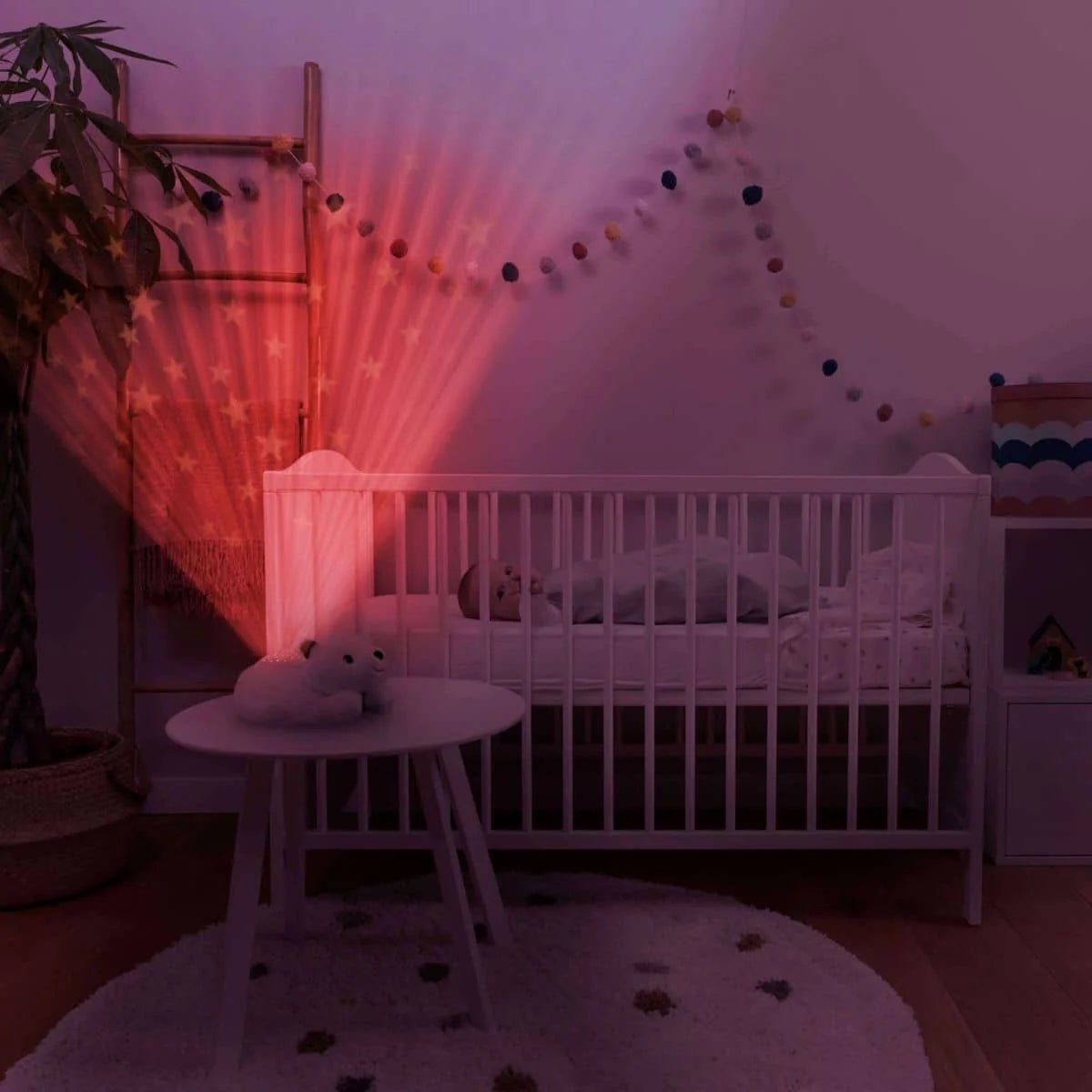 Bedtime Projector - Polly The Polar Bear With Star Projections