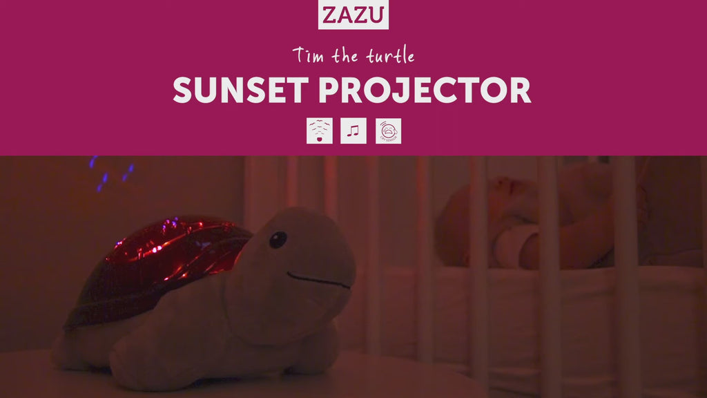 Bedtime Projector - Tim The Turtle With Sunset Projections